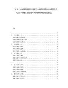 2025-2030英屬維爾京群島金融服務(wù)行業(yè)市場需求與競爭分析及投資環(huán)境規(guī)劃分析研究報告