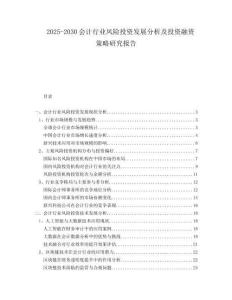 2025-2030會計行業風險投資發展分析及投資融資策略研究報告