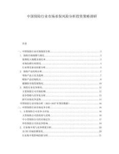 中國保險(xiǎn)行業(yè)市場承保風(fēng)險(xiǎn)分析投資策略調(diào)研