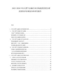 2025-2030中東天然氣運輸行業市場現狀供需分析及投資評估規劃分析研究報告