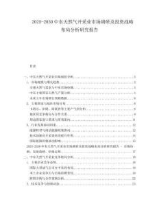 2025-2030中東天然氣開采業市場調研及投資戰略布局分析研究報告