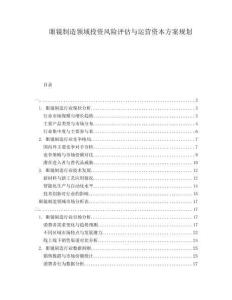 眼鏡制造領域投資風險評估與運營資本方案規劃