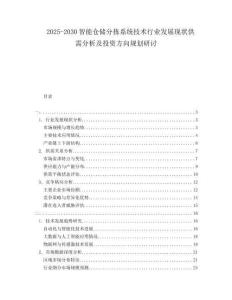 2025-2030智能倉儲分揀系統技術行業發展現狀供需分析及投資方向規劃研討