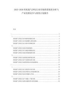 2025-2030有機(jī)廢氣凈化行業(yè)市場供需現(xiàn)狀分析與產(chǎn)業(yè)發(fā)展競爭與投資計(jì)劃報告