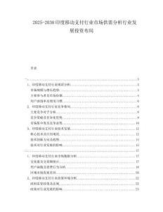 2025-2030印度移動支付行業市場供需分析行業發展投資布局