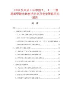 2026及未來5年中國２，５—二氨基苯甲酸市場數(shù)據(jù)分析及競爭策略研究報(bào)告