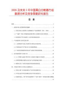 2026及未來5年中國黑白分割器市場數據分析及競爭策略研究報告