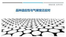 品種適應性與氣候變遷應對