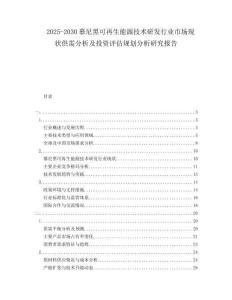 2025-2030慕尼黑可再生能源技術(shù)研發(fā)行業(yè)市場(chǎng)現(xiàn)狀供需分析及投資評(píng)估規(guī)劃分析研究報(bào)告