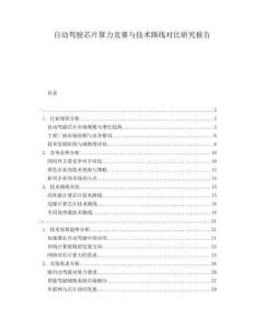 自動(dòng)駕駛芯片算力競(jìng)賽與技術(shù)路線對(duì)比研究報(bào)告