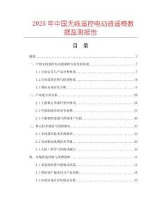 2025年中國無線遙控電動逍遙椅數(shù)據(jù)監(jiān)測報告