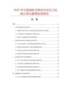 2025年中國(guó)閥控式單體支柱壓力在線記錄儀數(shù)據(jù)監(jiān)測(cè)報(bào)告