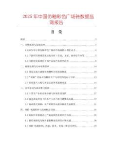 2025年中國仿釉彩色廣場磚數據監測報告