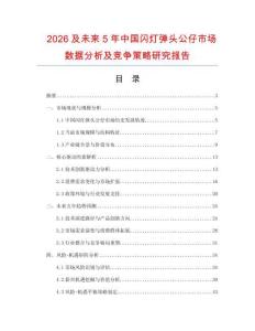 2026及未來5年中國閃燈彈頭公仔市場數(shù)據(jù)分析及競爭策略研究報(bào)告