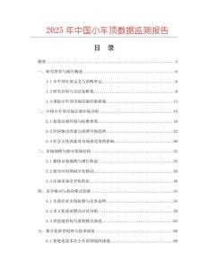 2025年中國小車頂數據監測報告