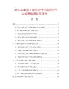 2025年中國M字型組合式高效空氣過濾器數(shù)據(jù)監(jiān)測報(bào)告