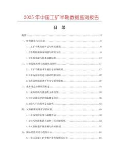 2025年中國(guó)工礦半靴數(shù)據(jù)監(jiān)測(cè)報(bào)告