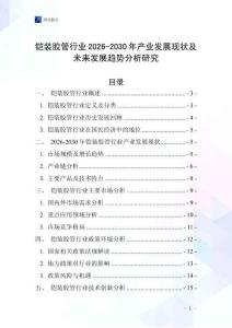 鎧裝膠管行業(yè)2026-2030年產(chǎn)業(yè)發(fā)展現(xiàn)狀及未來發(fā)展趨勢分析研究