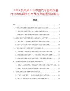 2025及未來5年中國汽車音響改裝行業市場調研分析及投資前景預測報告