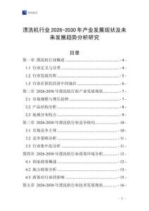 漂洗機行業2026-2030年產業發展現狀及未來發展趨勢分析研究