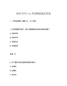 2025年年cia考試模擬題及答案