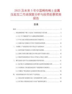 2025及未來5年中國稀有稀土金屬壓延加工市場深度分析與投資前景預測報告