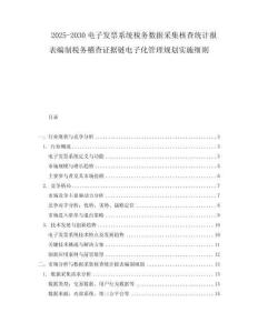 2025-2030電子發票系統稅務數據采集核查統計報表編制稅務稽查證據鏈電子化管理規劃實施細則