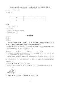 綿陽涪城區七年級數學名師中考銜接能力提升題庫及解析
