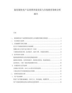 氮化鎵快充產(chǎn)品消費者接受度與市場教育策略分析報告