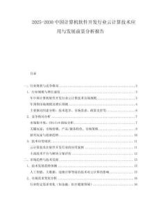 2025-2030中國計算機軟件開發(fā)行業(yè)云計算技術應用與發(fā)展前景分析報告