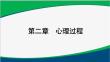基于教師資格考試的心理學(xué)第2章 心理過程2