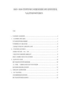 2025-2030管理咨詢行業(yè)服務(wù)創(chuàng)新分析及組織優(yōu)化與運(yùn)營(yíng)效率研究報(bào)告
