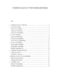 中國滑套行業(yè)安全生產(chǎn)管理與事故防范研究報告