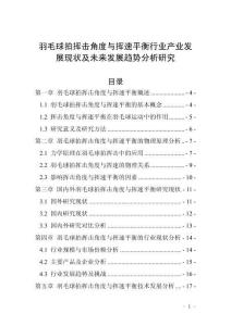 羽毛球拍揮擊角度與揮速平衡行業產業發展現狀及未來發展趨勢分析研究