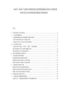 2025-2030氣候治理政策支持新能源電池行業(yè)供需評估發(fā)行改善投資規(guī)劃分析報告