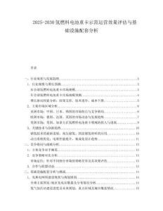 2025-2030氫燃料電池重卡示范運營效果評估與基礎(chǔ)設(shè)施配套分析