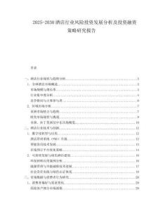 2025-2030酒店行業(yè)風(fēng)險(xiǎn)投資發(fā)展分析及投資融資策略研究報(bào)告