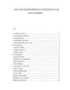 2025-2030創(chuàng)業(yè)孵化器創(chuàng)業(yè)公司培育創(chuàng)新項(xiàng)目市場(chǎng)競(jìng)爭(zhēng)力發(fā)展規(guī)劃