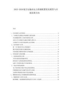 2025-2030航空運輸業(yè)運力資源配置優(yōu)化模型與市場發(fā)展方向