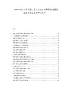 2025-2030鋼鐵冶金行業(yè)供應(yīng)鏈管理分析及投資效益評(píng)估規(guī)劃發(fā)展方向報(bào)告
