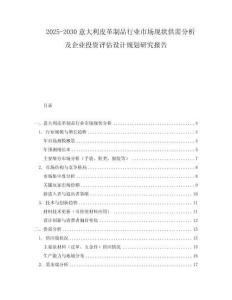 2025-2030意大利皮革制品行業(yè)市場(chǎng)現(xiàn)狀供需分析及企業(yè)投資評(píng)估設(shè)計(jì)規(guī)劃研究報(bào)告