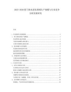 2025-2030荷蘭海水淡化領(lǐng)域生產(chǎn)規(guī)模與行業(yè)競爭分析發(fā)展研究