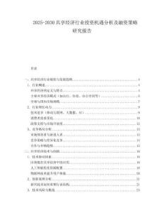 2025-2030共享經(jīng)濟行業(yè)投資機遇分析及融資策略研究報告