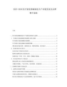 2025-2030醫(yī)療康復(fù)器械制造全產(chǎn)業(yè)鏈發(fā)展及品牌攀升策略