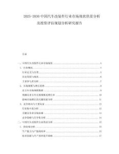 2025-2030中國汽車改裝件行業(yè)市場現(xiàn)狀供需分析及投資評估規(guī)劃分析研究報告