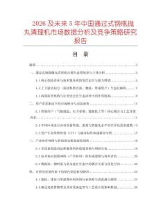 2026及未來5年中國通過式鋼瓶拋丸清理機市場數據分析及競爭策略研究報告