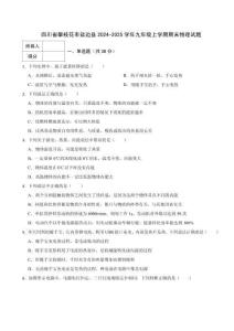 四川省攀枝花市鹽邊縣2024-2025學年九年級上學期期末物理試題