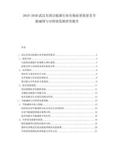2025-2030武漢市清潔能源行業(yè)市場(chǎng)前景展望及節(jié)能減排與可持續(xù)發(fā)展研究報(bào)告