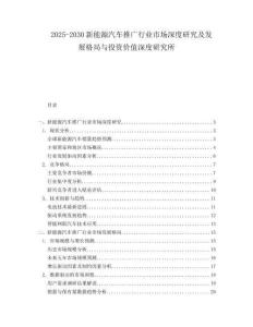 2025-2030新能源汽車推廣行業(yè)市場(chǎng)深度研究及發(fā)展格局與投資價(jià)值深度研究所