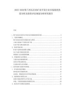 2025-2030特蘭西瓦尼亞礦業(yè)開(kāi)發(fā)行業(yè)市場(chǎng)現(xiàn)狀供需分析及投資評(píng)估規(guī)劃分析研究報(bào)告